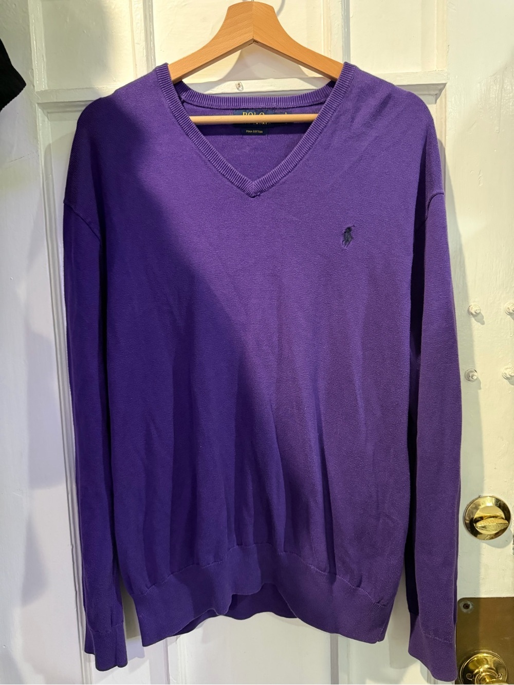 Polo by Ralph Lauren Men's V-Neck Sweater in Purple